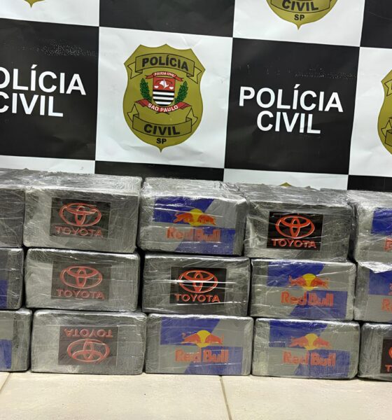 O Dia em Que a Estrada Virou Campo de Batalha: 241 Kg de Cocaína e um Caso que Abalou Campinas 2 O Dia em Que a Estrada Virou Campo de Batalha 241 Kg de Coca na e um Caso que Abalou Campinas