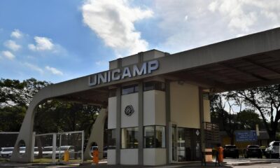 O Esc ndalo Silencioso da Ci ncia Como R 5 3 Milh es Sumiram dos Laborat rios da Unicamp
