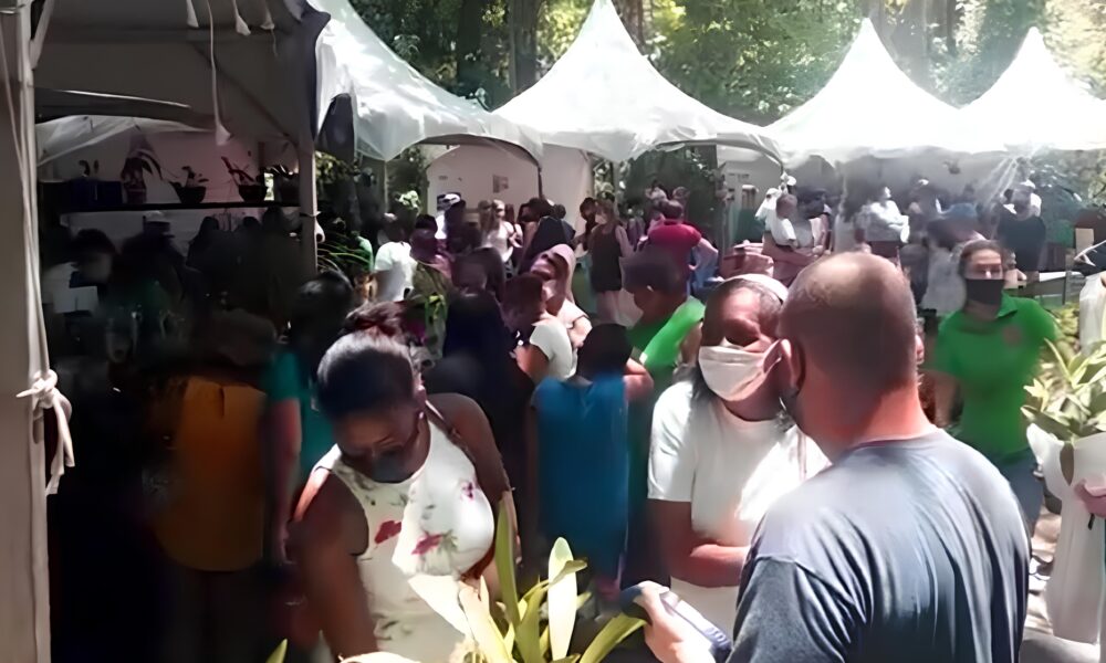 O Festival de Orqu deas e Suculentas no Bosque dos Jequitib s Um O sis de Beleza e Cultura em Campinas