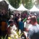 O Festival de Orqu deas e Suculentas no Bosque dos Jequitib s Um O sis de Beleza e Cultura em Campinas