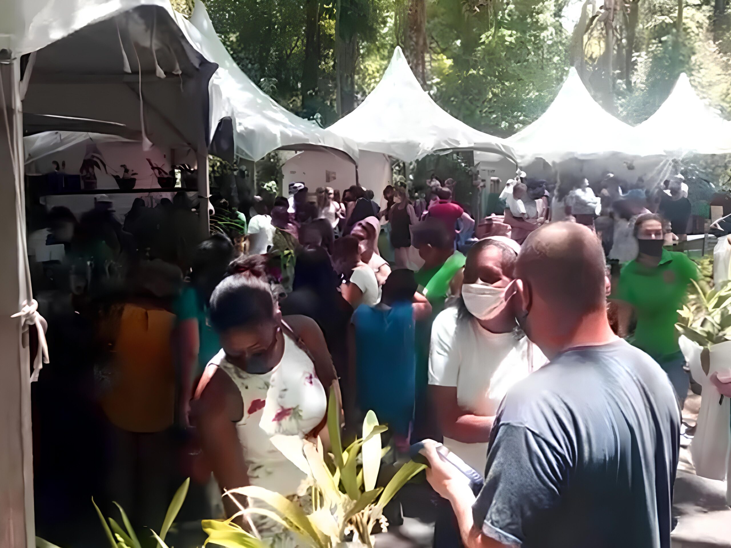 O Festival de Orquídeas e Suculentas no Bosque dos Jequitibás: Um Oásis de Beleza e Cultura em Campinas 1 O Festival de Orqu deas e Suculentas no Bosque dos Jequitib s Um O sis de Beleza e Cultura em Campinas scaled