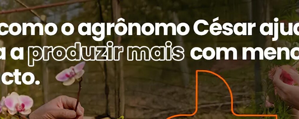 O Grande Tapete Branco Como o 9 Torneio de Jud da Delegacia de Campinas Promete Encantar Mogi Gua u em 2025
