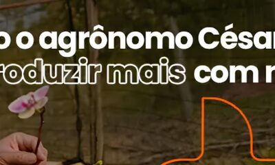 O Grande Tapete Branco Como o 9 Torneio de Jud da Delegacia de Campinas Promete Encantar Mogi Gua u em 2025