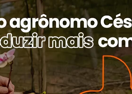 O Grande Tapete Branco: Como o 9º Torneio de Judô da Delegacia de Campinas Promete Encantar Mogi Guaçu em 2025 2 O Grande Tapete Branco Como o 9 Torneio de Jud da Delegacia de Campinas Promete Encantar Mogi Gua u em 2025