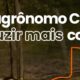 O Grande Tapete Branco Como o 9 Torneio de Jud da Delegacia de Campinas Promete Encantar Mogi Gua u em 2025
