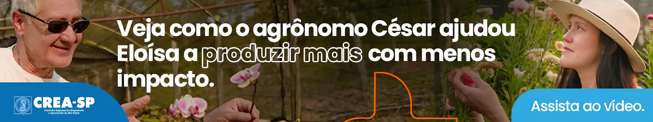 O Grande Tapete Branco: Como o 9º Torneio de Judô da Delegacia de Campinas Promete Encantar Mogi Guaçu em 2025 1 O Grande Tapete Branco Como o 9 Torneio de Jud da Delegacia de Campinas Promete Encantar Mogi Gua u em 2025