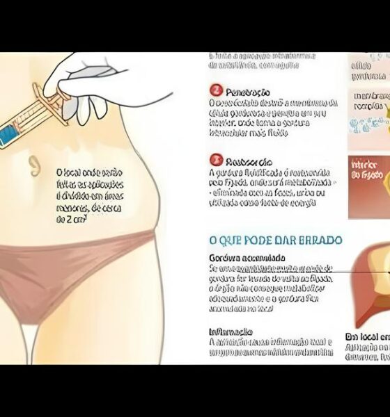 O Que Seus Hábitos Alimentares Podem Revelar Sobre o Futuro da Medicina? 2 O Que Seus H bitos Alimentares Podem Revelar Sobre o Futuro da Medicina