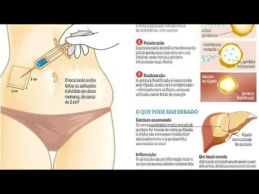 O Que Seus Hábitos Alimentares Podem Revelar Sobre o Futuro da Medicina? 1 O Que Seus H bitos Alimentares Podem Revelar Sobre o Futuro da Medicina