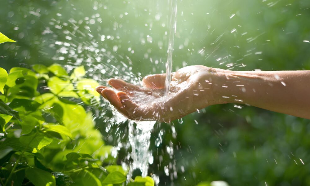 Por Que Beber gua da Chuva Pode Ser Mais Perigoso do Que Voc Imagina