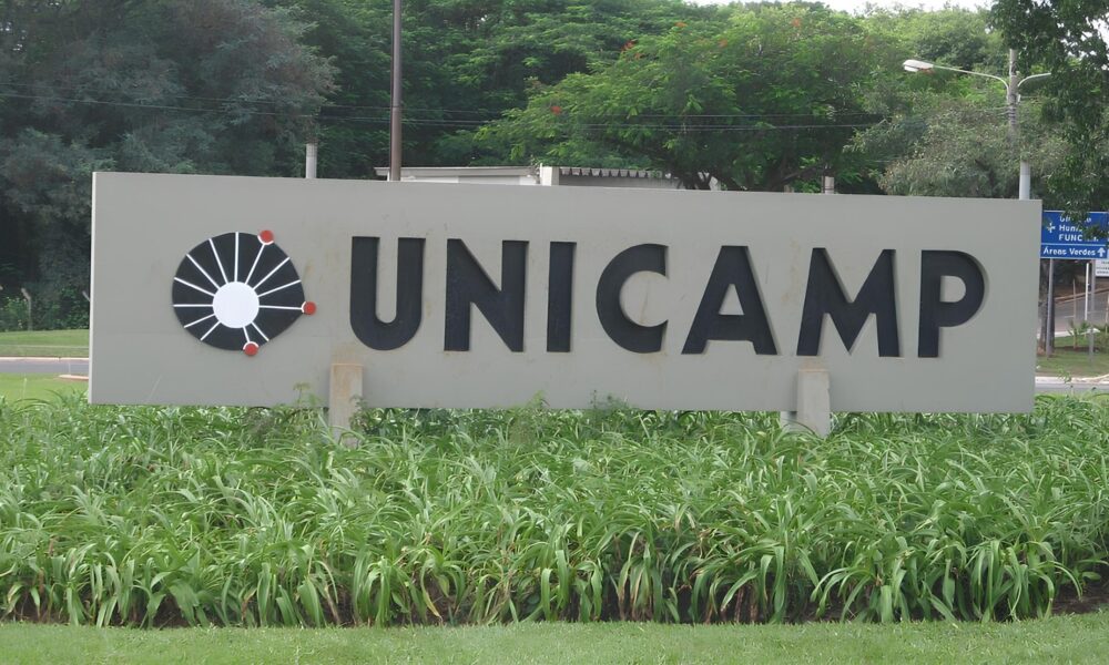 Por Que Campinas o Destino dos Sonhos para Estudantes de Todo o Pa s