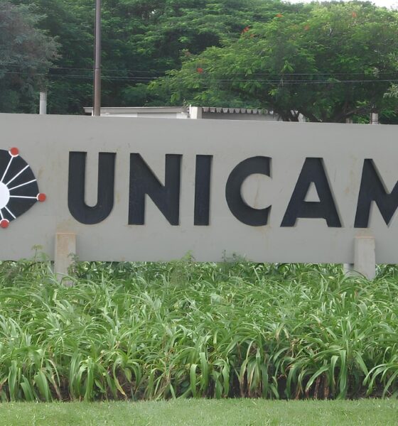 Por Que Campinas o Destino dos Sonhos para Estudantes de Todo o Pa s