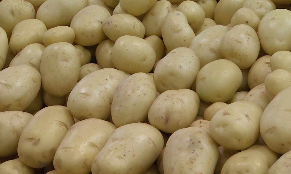 Por Que a Batata Est Custando Mais que Seus Sonhos A Explos o do Pre o da Cesta B sica em Campinas