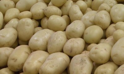 Por Que a Batata Est Custando Mais que Seus Sonhos A Explos o do Pre o da Cesta B sica em Campinas