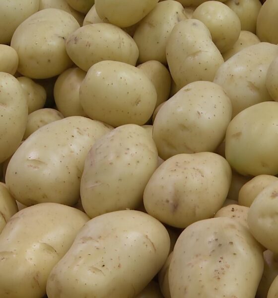 Por Que a Batata Est Custando Mais que Seus Sonhos A Explos o do Pre o da Cesta B sica em Campinas