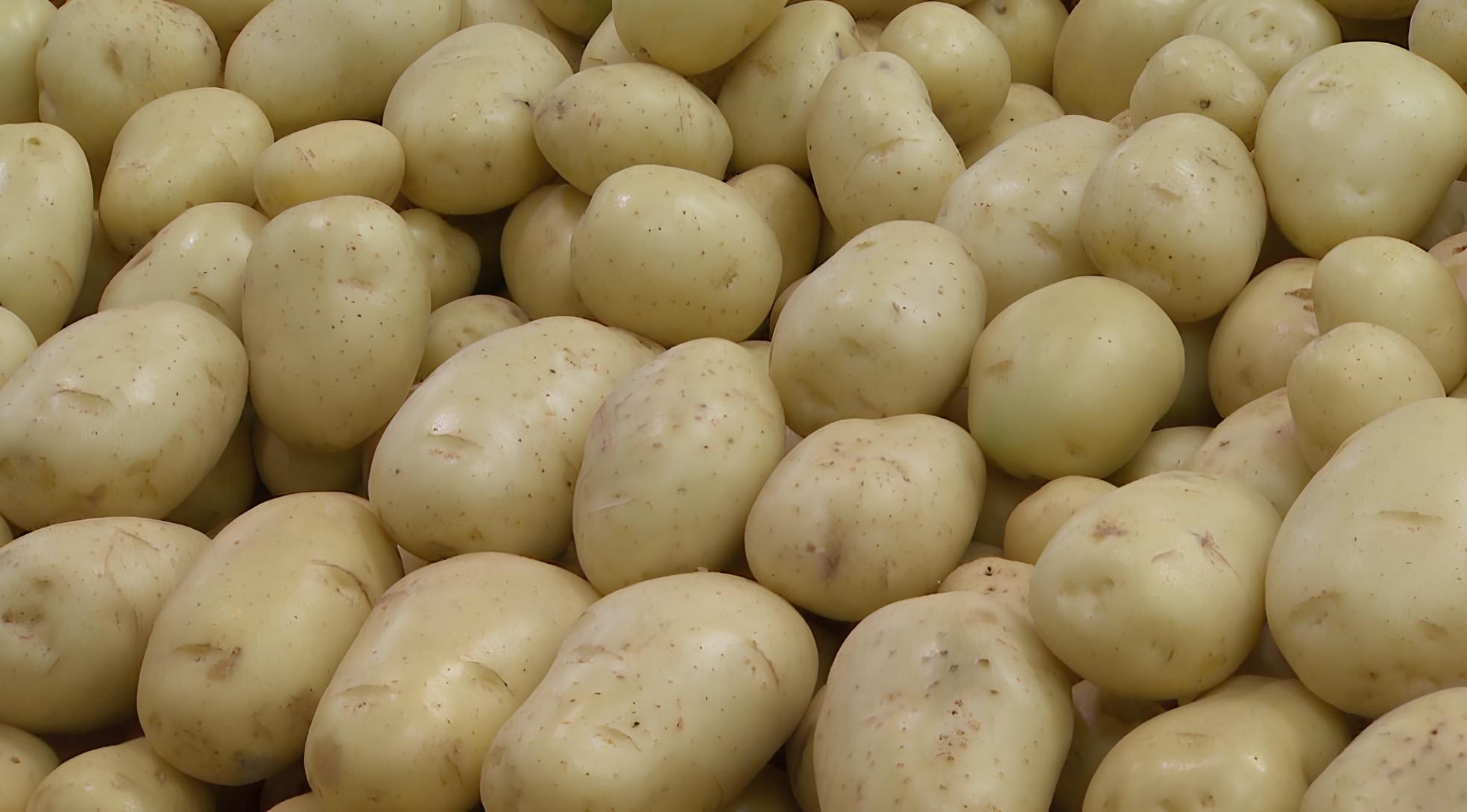 Por Que a Batata Está Custando Mais que Seus Sonhos? A Explosão do Preço da Cesta Básica em Campinas 1
