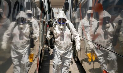Por Que a Dengue Continua Assombrando o Brasil A Epidemia de 2025 Revela um Cen rio Alarmante
