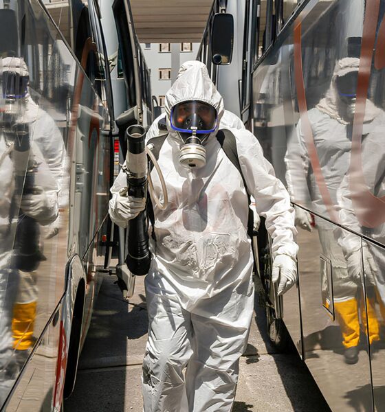 Por Que a Dengue Continua Assombrando o Brasil? A Epidemia de 2025 Revela um Cenário Alarmante 2 Por Que a Dengue Continua Assombrando o Brasil A Epidemia de 2025 Revela um Cen rio Alarmante