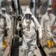 Por Que a Dengue Continua Assombrando o Brasil A Epidemia de 2025 Revela um Cen rio Alarmante