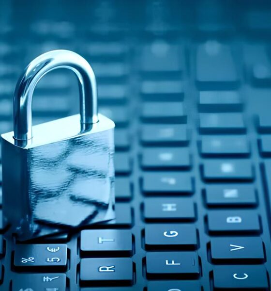 Por que Seu Navegador Está Tentando Te Alertar? Descubra o Que Há Por Trás do Aviso NET::ERR_CERT_AUTHORITY_INVALID 2 Por que Seu Navegador Est Tentando Te Alertar Descubra o Que H Por Tr s do Aviso NET ERR CERT AUTHORITY INVALID