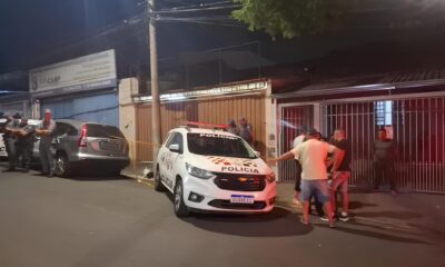 Quando o Guardi o se Torna o Predador A Tr gica Hist ria do Homem e Seu Pitbull em Campinas