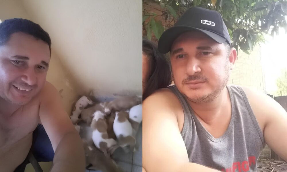 Quando o Melhor Amigo se Torna o Pior Pesadelo O Caso do Pitbull que Matou Seu Tutor em Campinas