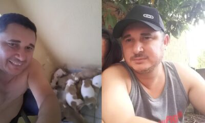 Quando o Melhor Amigo se Torna o Pior Pesadelo O Caso do Pitbull que Matou Seu Tutor em Campinas