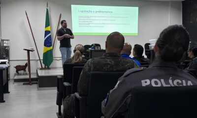 Selva Urbana Como o Projeto Est Transformando Cidades em Guardi es da Natureza