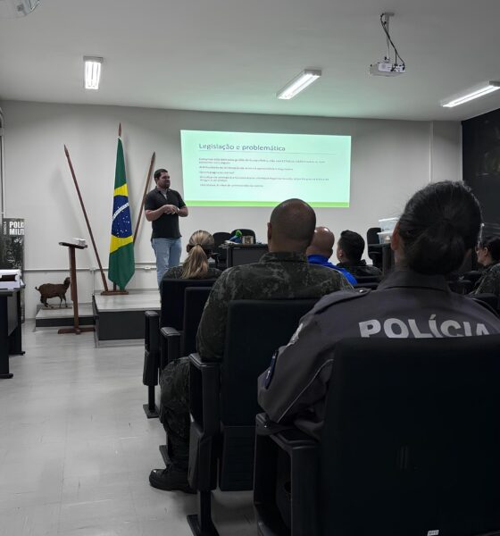 Selva Urbana: Como o Projeto Está Transformando Cidades em Guardiões da Natureza 2 Selva Urbana Como o Projeto Est Transformando Cidades em Guardi es da Natureza