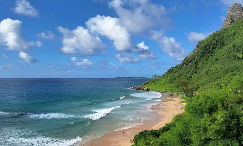 Trag dia em Para so Aqu tico A Hist ria do Turista que Perdeu a Vida em Fernando de Noronha