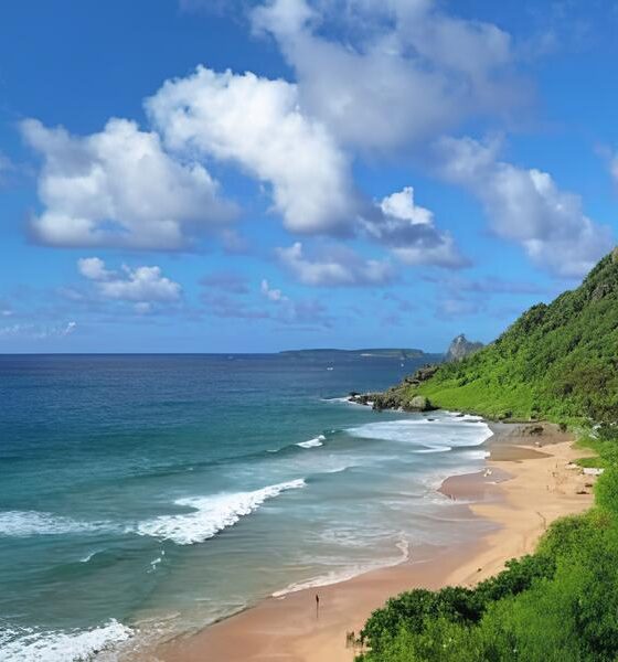 Tragédia em Paraíso Aquático: A História do Turista que Perdeu a Vida em Fernando de Noronha 2 Trag dia em Para so Aqu tico A Hist ria do Turista que Perdeu a Vida em Fernando de Noronha
