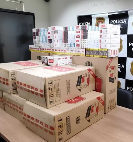 Um Arsenal de Fumaça: Como 94 Mil Cigarros Contrabandeados Foram Desmantelados em São Pedro 2 Um Arsenal de Fuma a Como 94 Mil Cigarros Contrabandeados Foram Desmantelados em S o Pedro