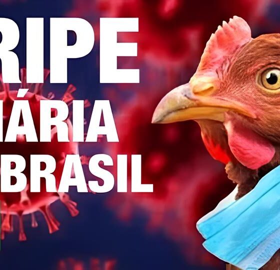 A Ameaça Silenciosa: Gripe Aviária Chega ao Zoológico de Brasília e Levanta Alerta Nacional 2 A Amea a Silenciosa Gripe Avi ria Chega ao Zool gico de Bras lia e Levanta Alerta Nacional