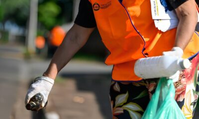 A Batalha Contra o Sil ncio Verde Campinas Amplia Alerta Contra a Dengue em 19 Bairros O Que Isso Significa Para Voc