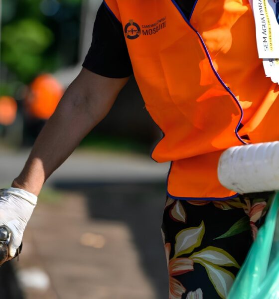 A Batalha Contra o Silêncio Verde: Campinas Amplia Alerta Contra a Dengue em 19 Bairros. O Que Isso Significa Para Você? 2 A Batalha Contra o Sil ncio Verde Campinas Amplia Alerta Contra a Dengue em 19 Bairros O Que Isso Significa Para Voc