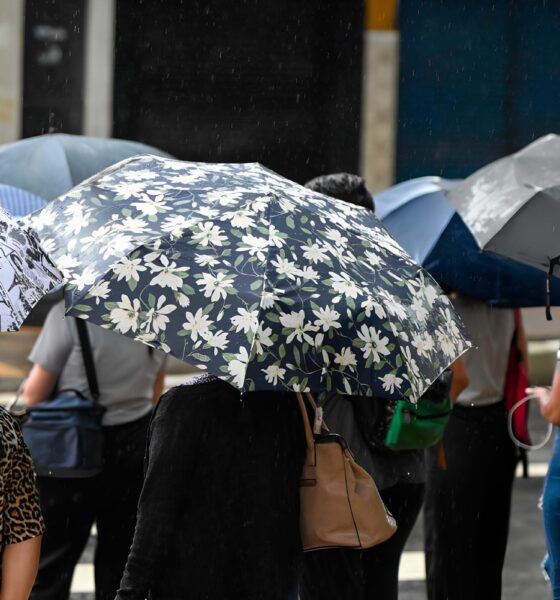 A Tempestade Inesperada: Como Uma Hora de Chuva em Campinas Redefiniu o Clima em 2025 2 A Tempestade Inesperada Como Uma Hora de Chuva em Campinas Redefiniu o Clima em 2025
