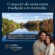 Azul Decola para o Porto Como um Novo Voo Est Redefinindo a Conectividade Brasil Portugal