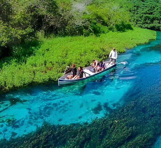 Bonito O Para so Sustent vel que Encanta Paulistanos e Conquista o Mundo