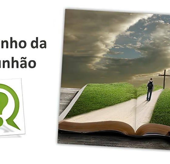 Caminho da Capacita o Como Carretas M veis Est o Transformando Vidas em SP