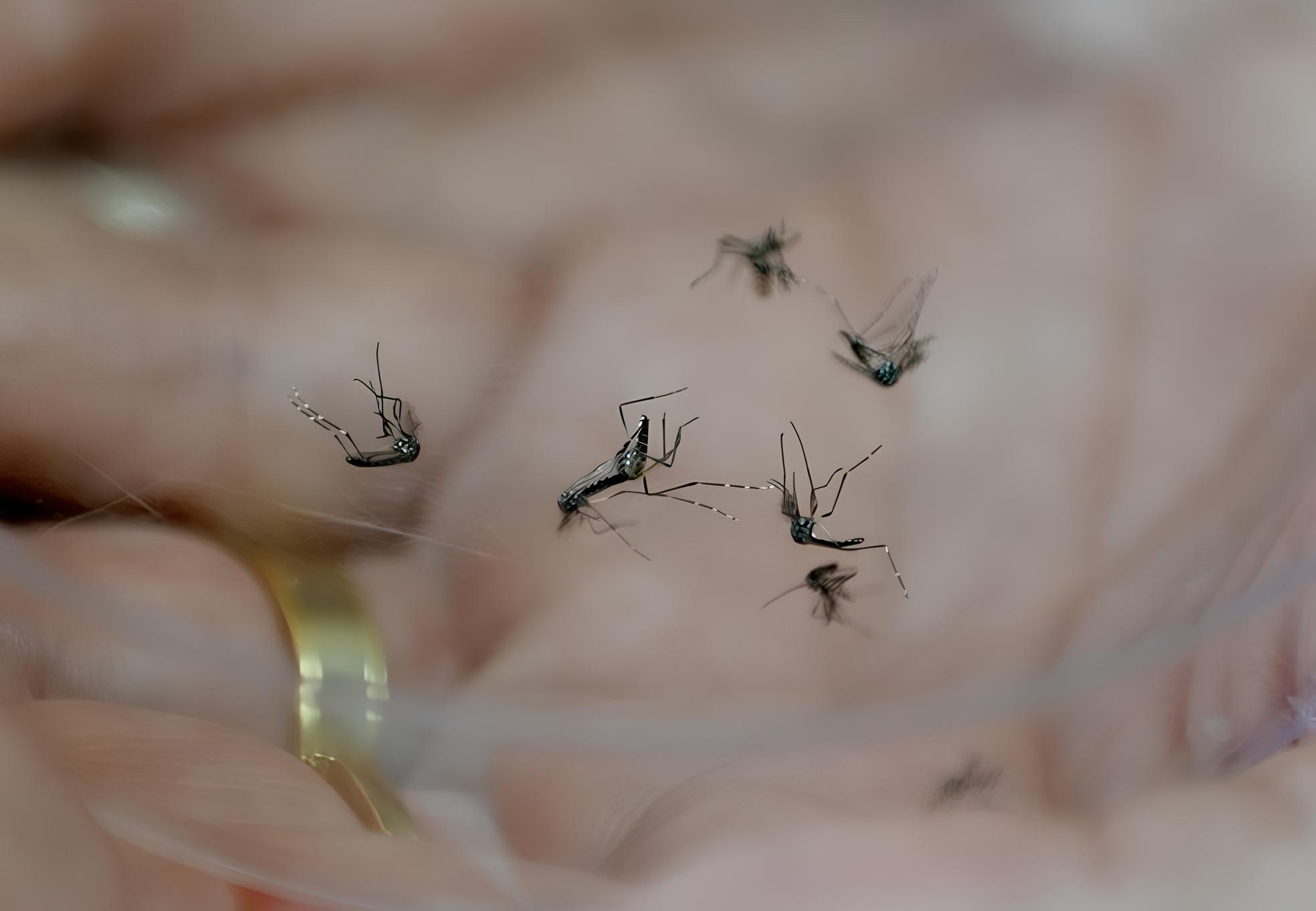 Campinas à Beira do Colapso: A Epidemia Silenciosa que Assombra a Cidade 1 Campinas Beira do Colapso A Epidemia Silenciosa que Assombra a Cidade
