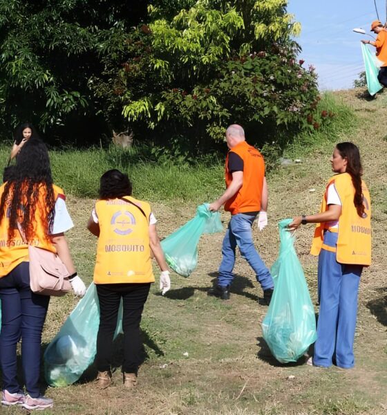 Campinas Contra o Aedes: O Dia em que a Cidade Declarou Guerra ao Mosquito da Dengue 2 Campinas Contra o Aedes O Dia em que a Cidade Declarou Guerra ao Mosquito da Dengue