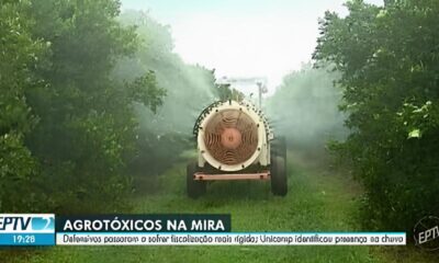 Chuva T xica O Estudo da Unicamp Que Revelou o Lado Sombrio dos Agrot xicos no Brasil