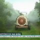 Chuva T xica O Estudo da Unicamp Que Revelou o Lado Sombrio dos Agrot xicos no Brasil