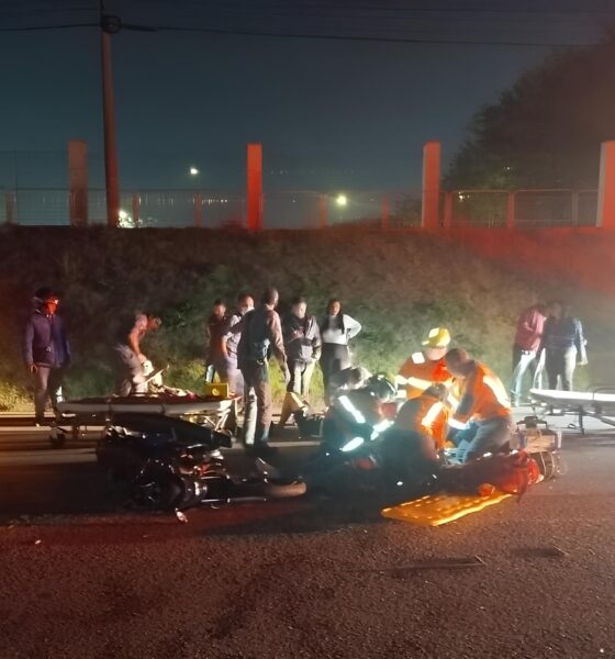 Colisão entre Moto e Charrete: O Impacto de Dois Mundos em Conflito na Marginal da Santos Dumont 2 Colis o entre Moto e Charrete O Impacto de Dois Mundos em Conflito na Marginal da Santos Dumont