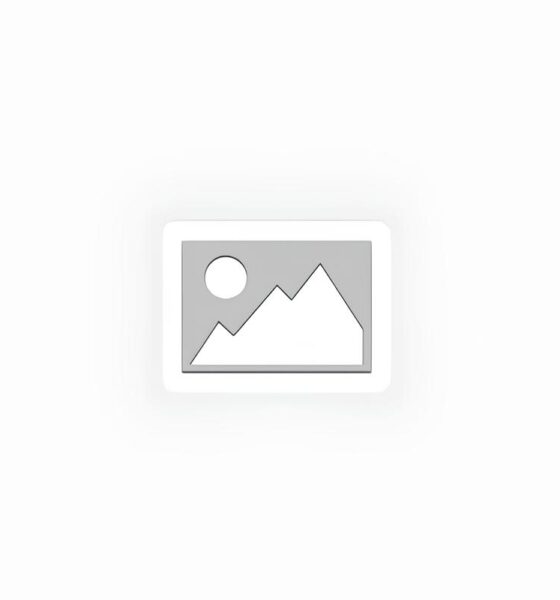 Como a Suspens o de Voos Diretos Pode Abalar o Futuro de Mato Grosso do Sul e Mato Grosso