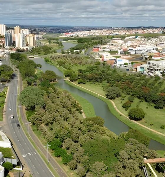 Como o PlaNAU Está Transformando Cidades Brasileiras em Florestas Urbanas: A Primeira Oficina Presencial em Campinas 2 Como o PlaNAU Est Transformando Cidades Brasileiras em Florestas Urbanas A Primeira Oficina Presencial em Campinas