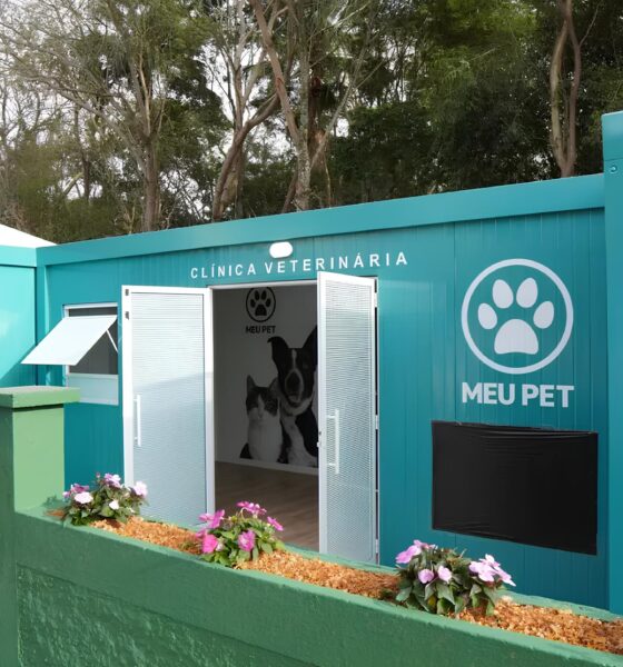 Consultórios Veterinários Gratuitos: Como São Paulo Está Mudando a Vida dos Pets e Seus Donos 2 Consult rios Veterin rios Gratuitos Como S o Paulo Est Mudando a Vida dos Pets e Seus Donos