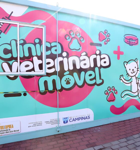 Consult rios Veterin rios M veis de Campinas Um Raio de Esperan a para os Pets Mesmo em Feriados