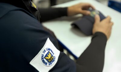 O Bot o Que Salvou Uma Vida Como a Tecnologia e Coragem Est o Combatendo a Viol ncia Dom stica em Campinas