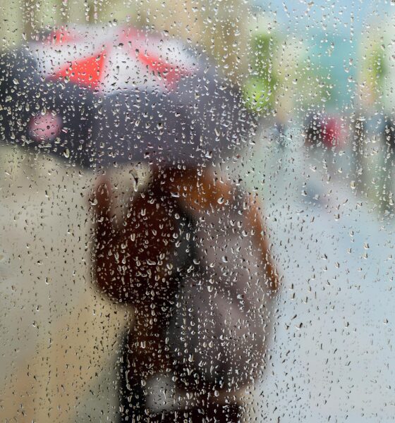 O Dia Cinzento de Campinas: O Que o Céu Nublado Revela Sobre a Vida na Cidade? 2 O Dia Cinzento de Campinas O Que o C u Nublado Revela Sobre a Vida na Cidade
