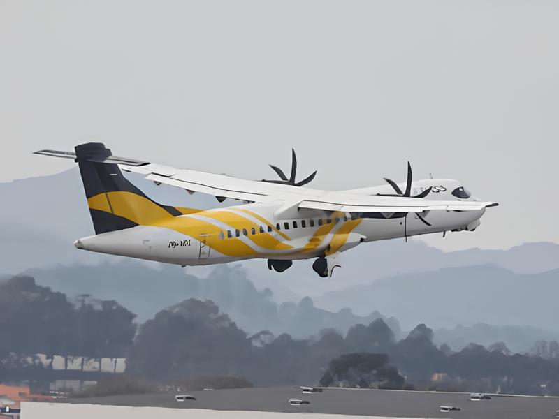 O Dia em que o Céu Escureceu: A Queda da Voepass e as Decisões que Mudaram a Aviação Brasileira 1 O Dia em que o C u Escureceu A Queda da Voepass e as Decis es que Mudaram a Avia o Brasileira